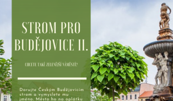 Darujte Českým Budějovicím strom a dejte mu jméno