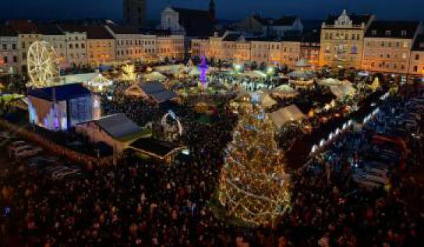 Budějčáci mají nejkrásnější vánoční strom