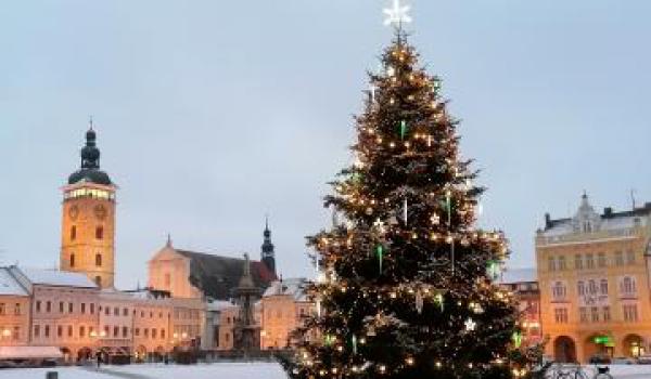 Vánoční stromek přivezou z Kaliště