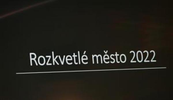 Vítězové si převzali odměnu