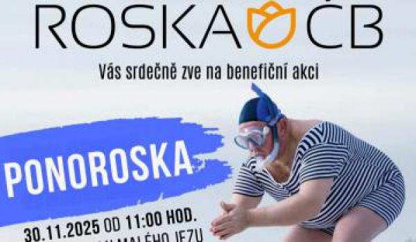 Ponor do Malše pod záštitou primátorky startuje v neděli 30. listopadu