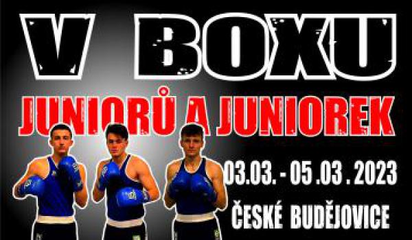 Mladí boxeři se utkají v Budějovicích pod záštitou primátorky 