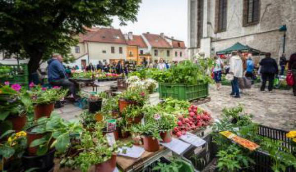 Trhy na Piaristickém náměstí na Štědrý den a na Silvestra nebudou - upozornění