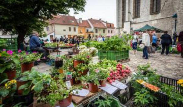 Trhy budou na podzim od 7.00 hodin - upozornění