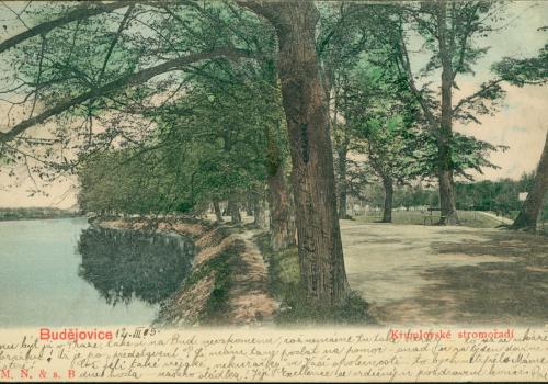 Krumlovské stromořadí (1905)