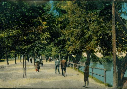 Linecké stromořadí (1915)