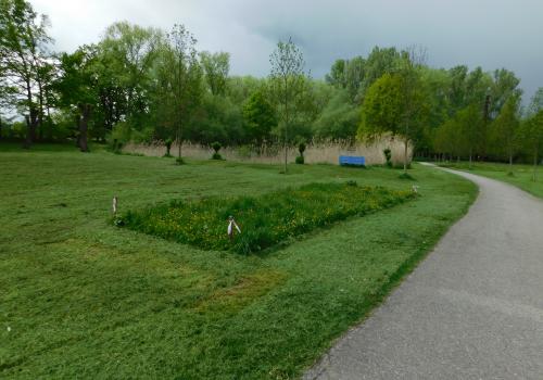 Stromovka