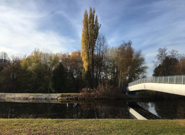 krajinný prvek Dlouhá louka